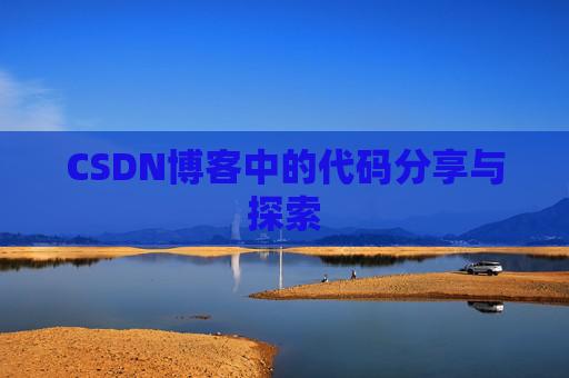 CSDN博客中的代码分享与探索